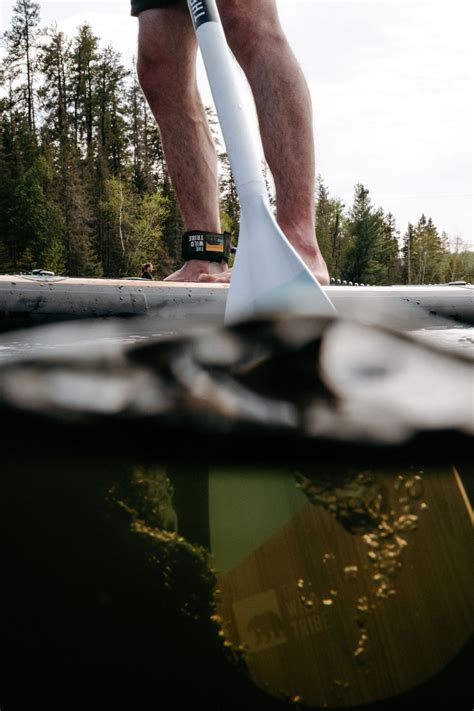 Image result for Paddleboarding Tips