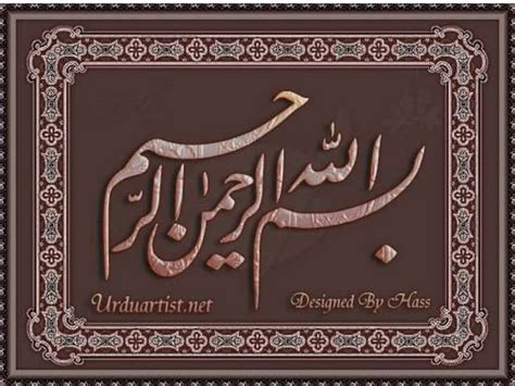 Application Software Packages 的图像结果