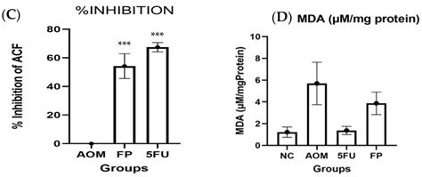 Faecalibacterium prausnitzii Ameliorates Colorectal Tumorigenesis and ...
