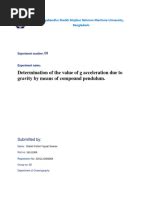 Image result for Compound Pendulum Lab Report