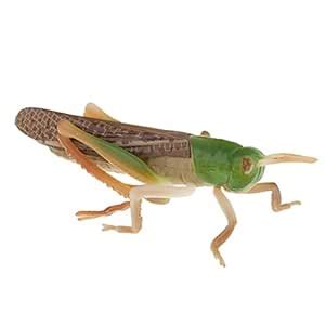 MERISHOPP® Animal Toys Educational Resource High Simulation Reallistic ...