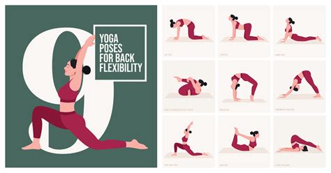 Image result for Back Flexibility