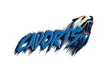 Custom Logo Design by Professional Logo Designers of Logo Design Team