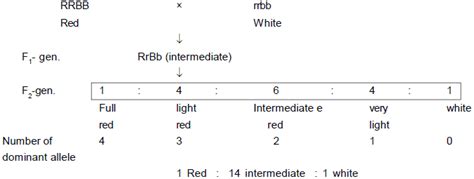 Principles of Inheritance and Evolution, Chapter Notes, Class 12 ...