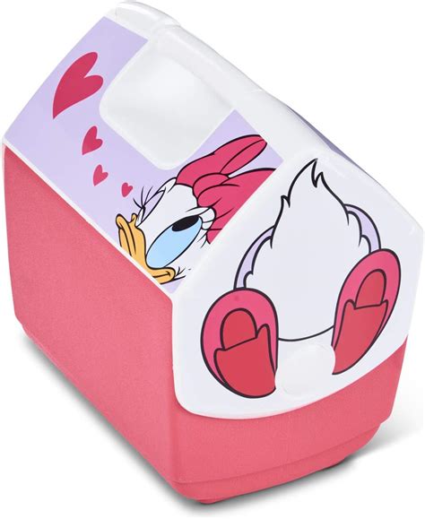 Buy Igloo Cooler Ice Box Online at Lowest Price in India. B0813Y4KRJ