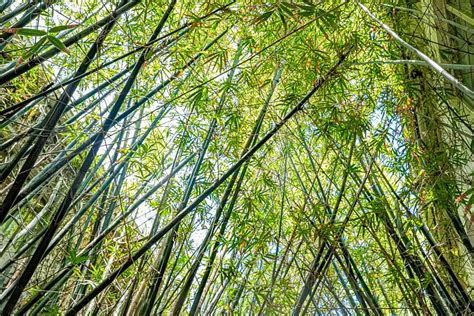 CATALINA HOTEL & BEACH CLUB (Miami Beach) - Hotel Reviews, Photos, Rate ...