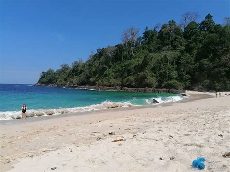 JAVA TURTLE LODGE - MERU BETIRI (Sarongan) - Hostel Reviews, Photos ...