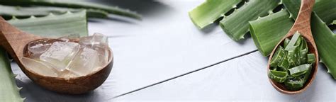 Phytochemicals – Sunpure Extracts Pvt Ltd