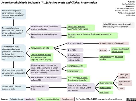 Differential Diagnosis Leukemia at Mary Galvin blog