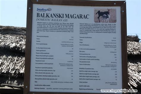 Pašnjak Valjevac , srce rezrevata SRP Zasavica
