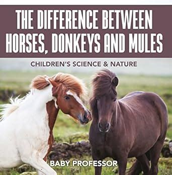 The Difference Between Horses, Donkeys and Mules | Children's Science ...