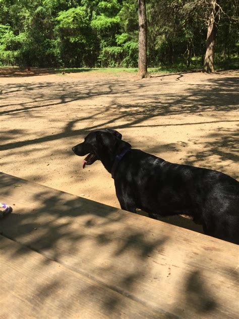 William R. Davie Park - 4635 Pineville-Matthews Rd, Charlotte, NC 28226 ...