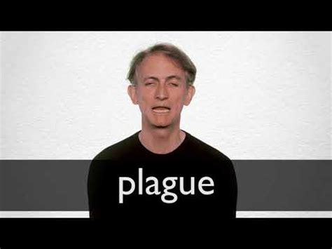 PLAGUE Synonyms | Collins English Thesaurus