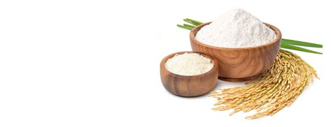 Rajmarg Chakki Fresh Atta | Whole Wheat Flour Manufacturer | Rajmarg ...