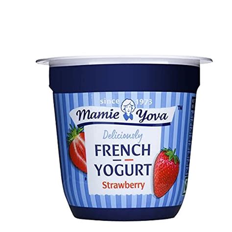 Mamie Yova French Yogurt Strawberry, 90 g : Amazon.in: Grocery ...