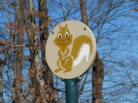 Squirrel Lake Park (Matthews) - What to Know Before You Go (with Photos ...