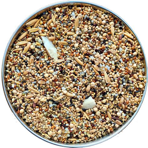 Buy Pets Exotic Seed Mix of 8 Grains, Added with Spirulina & Cuttlefish ...