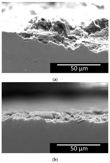 Stress Corrosion Cracking of Steam Turbine Steel: The Influence of ...