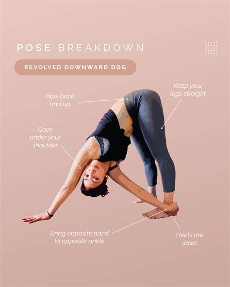 Downward Dog Pose Yoga