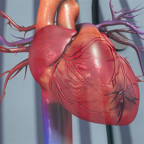 Nichtinvasiver Nachweis bzw. Ausschluss einer koronaren Herzkrankheit ...