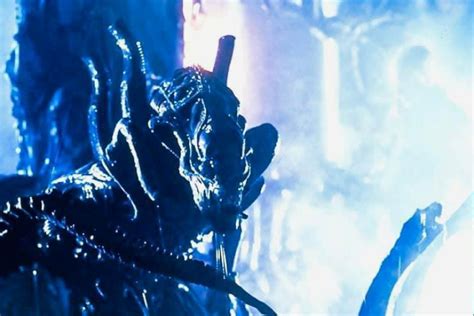 Alien Encounters Night Vison 的图像结果