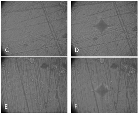 Vickers Micro-Hardness of New Restorative CAD/CAM Dental Materials ...
