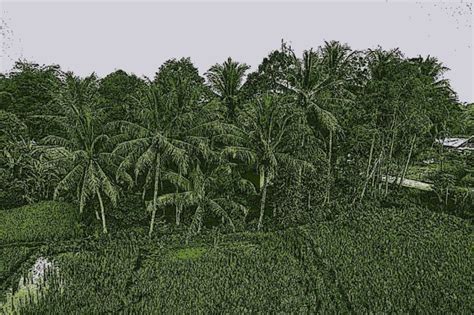 Main Method Explanation in Java 的图像结果