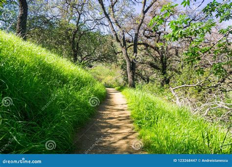 Hiking Trail on the Hills of Santa Teresa County Park Stock Image ...