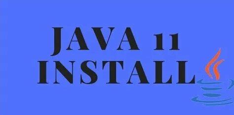 Java 11 Installation 的图像结果