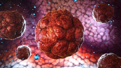 চিনিই সবচেয়ে বড় বিষ, বেশি খেলে কি ক্যানসার হতে পারে? | explained-does ...