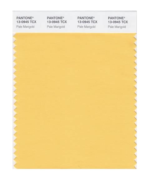 PANTONE Smart 13-0945X Color Swatch Card, Pale Marigold : Amazon.in ...