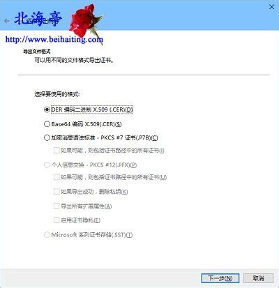 Win10怎么导出软件数字证书?(2)_北海亭-最简单实用的电脑知识、IT技术学习个人站