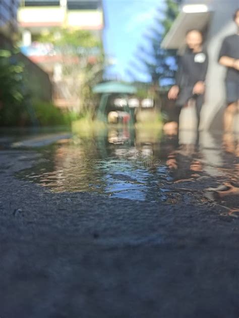 Swimming Pool Water 的图像结果