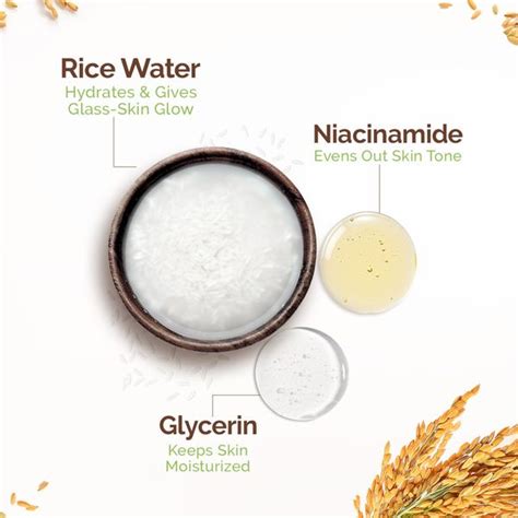 Mamaearth Rice Water Tone Up Face Cream with Rice Water & Niacinamide ...