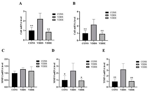 Aerobic Exercise Ameliorates Myocardial Fibrosis via Affecting Vitamin ...