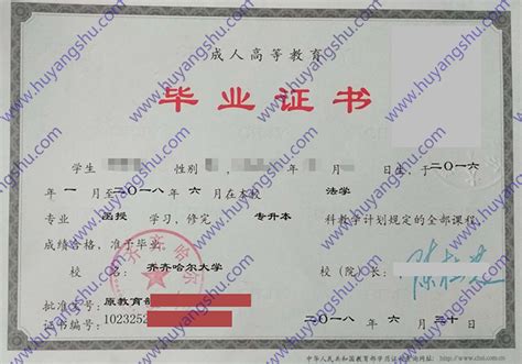 齐齐哈尔大学历届毕业证样本图片-胡杨树样本网