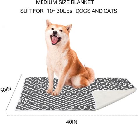 Buy LUCKITTY Dog Cat Waterproof Blanket Double Thickening Footprint ...