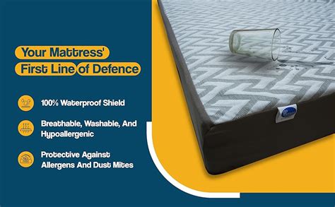 Buy Centuary Mattresses Matt Guard Mattress Protector - 100% Waterproof ...
