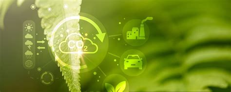 Record Carbon Emissions in 2024: Impact and Future Trends
