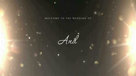 Fine Wedding Introduction Clips 的图像结果