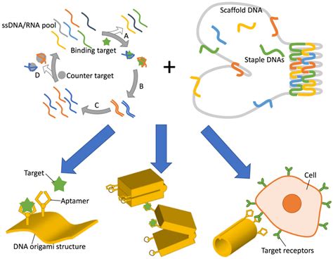 Image result for DNA Origami Applications