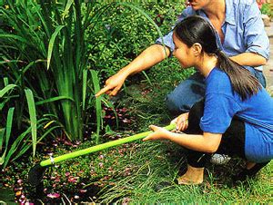 74 Science projects Ideas for Students