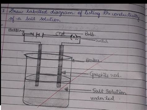 : Draw and label the diagrams of metals with the solutions of salts ...
