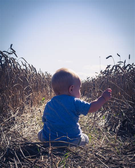 Wheat Field | Summer Activities for Families | The Patch MK