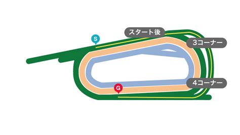 紅梅S(L) 競馬新聞 | 2026年1月17日 10R レース情報(JRA) - netkeiba.com
