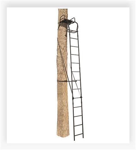 Image result for Shortest Ladder Tree Stands