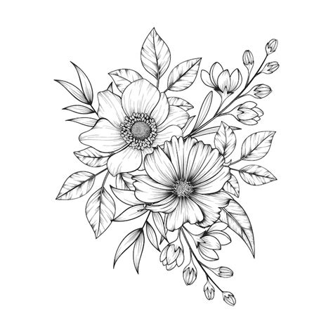 Bloemen tekening Afbeeldingen - Gratis downloaden op Freepik