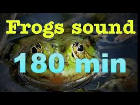 Image result for Sound of Spring