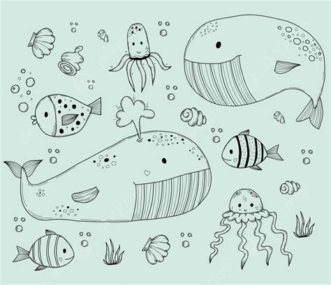 Set Of Sea Animals, Animal Drawing, Sea Drawing, Sea Animal Drawing PNG ...