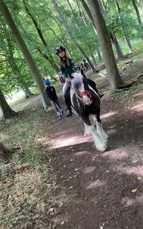 PONY TREKKING THETFORD FOREST - All You Need to Know BEFORE You Go 2026 ...